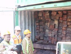 Dokumen Palsu, 69 Kontainer Kayu Merbau Diamankan