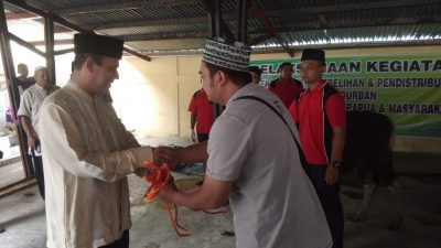 Idul Adha, Polda Papua Serahkan 19 Ekor Sapi kepada Umat
