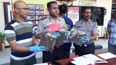 Ringkus Sindikat Curanmor, Malah 2 Kilogram Ganja Ikut Diamankan