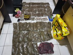 Bawa Ganja, 2 Penumpang Kapal Putih Dicokok Polisi