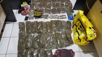 Bawa Ganja, 2 Penumpang Kapal Putih Dicokok Polisi