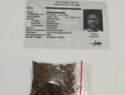 Miliki Ganja, Oknum Mahasiswa Diamanakan Polres Jayawijaya