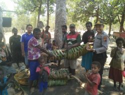 Lestarikan Makanan Khas Suku Kanum di Perbatasan RI – PNG, Anggota Binmas Noken Bibit Tanaman Kumbili