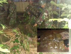 Tentara Penjaga Perbatasan RI-PNG Gagalkan Penyelundupan Narkotika