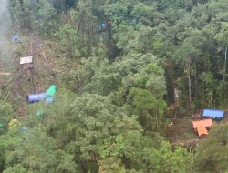 Tingkat Kerusakan Hutan Papua Mulai Meningkat