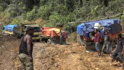 Turunkan Tingkat Kemahalan di Wilayah Pegunungan, Wakil Bupati Apresiasi Jalan Trans Papua