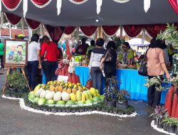 Stok Pangan Untuk Selama Penyelenggaraan PON 2020 Diklaim Aman