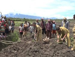 Dinas Pertanian Dorong Hak Paten Kemasan Produk Jayawijaya