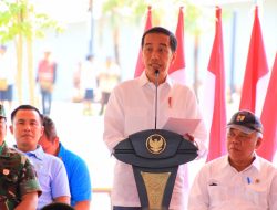 Presiden Jokowi Dorong Papua Ekspor Beras Merauke ke PNG