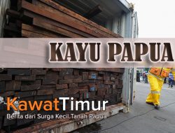 Terkait Kayu Yang Ditahan di Makassar, Jika Negara Merasa Dirugikan, Rakyat Papua Juga Demikian