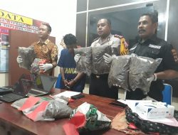 Polres Jayapura Kota Bekuk Penyeludup Ganja 5 Kg dari Papua Nugini