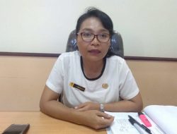 Demam Berdarah Mulai Merambah Kota Jayapura