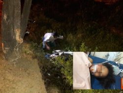 Dipengaruhi Miras, Mahasiswa Pengendara Motor Tewas Setelah Tabrak Pohon di Abepura