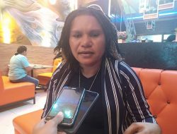 Politisi Nasdem Nilai Bantuan Bantuan Bibit Babi PT INALUM Tidak Tepat Sasaran