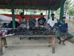 Selundupkan 21 Kg Vanili, 5 Warga PNG Diamankan TNI Penjaga Perbatasan