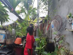 Di Abepura, Seorang Wanita Tewas Tersengat Listrik