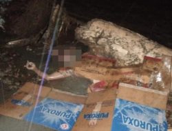 Banjir Bandang di Sentani, Sejumlah Orang Dikabarkan Meninggal