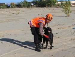 Begini Cara Kerja K-9 Endus Korban Banjir Bandang