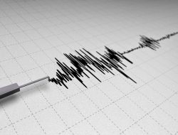 Gempa 4,6 SR Guncang Jayapura, Masyarakat Sempat Kaget