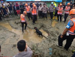 Polda Turunkan 15 Ekor Anjing Pelacak Bantu Pencaharian Korban Banjir