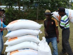 Stok Beras Bulog Di Wamena Masih Cukup