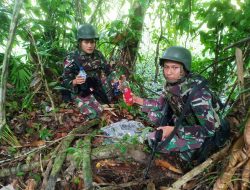 TNI Amankan Ganja Tanpa Pemilik di Arso