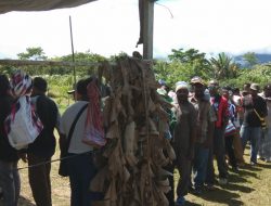Pilpres dan Pileg di Mamberamo Tengah Berjalan Aman