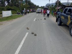 Truk Seruduk Pejalan Kaki Hingga Meninggal
