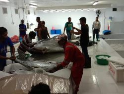 Coolstorage PT MPM Berikan Pelatihan Nelayan Emas Biru Papua Dalam Kelola Ikan