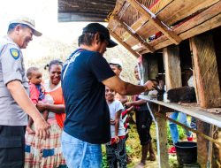 Kampung Kelinci Binaan Binmas Noken Punya Potensi Bagi Kesejahteraan Rakyat