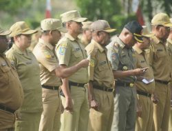 Pemkot Jayapura Siapkan 300 Kuota CPNS