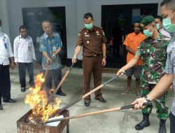 Satgas Pamtas Yonif PR 328/DGH dan BNN Jayapura Musnahkan Barang Bukti Ganja