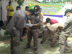 Kali Ini Giliran Berbagai Jenis Burung Dimusnahkan Balai Karantina Pertanian Klas 1 Jayapura