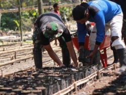 TNI dan Masyarakat Kampung Pund Gelar Penanaman 5000 Batang Pohon Coklat