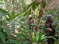 Yonif Raider 300/Bjw Lakukan Patroli Keamanan di Pos Wambes PIR
