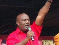 Pendafataran Dibuka, PDIP Papua Mulai Jaring Calon Kepala Daerah
