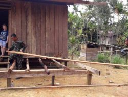 Satgas Yonif Raider 509 Kostrad Gotong Royong Bangun Rumah Warga di Desa Yuruf