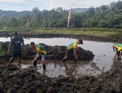 Satgas Yonif Raider 509 Kostrad Berikan Materi Pembudidayaan Ikan Nila di Pegubin