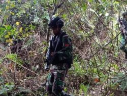 Pamtas RI-PNG Yonif 509 Kostrad Gelar Patroli Keamanan Tapal Batas Wilayah
