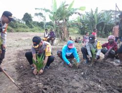 Jadi Sahabat Petani, Kapolres Mamberamo Tengah Beri Bantuan Bibit Pinang Pada Masyarakat