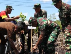 Kodam Cenderawasih, Polda dan Pemerintah Papua Tanam 5800 Bibit Mangrove