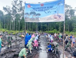 Peringati HUT TNI Ke-74, Lanal Timika Tanam 5000 Pohon Mangrove