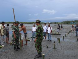 TNI Dorong Program Penghijauan di Pantai Apainabo Waropen