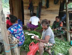 TNI Beri Pendampingan Kepada Petani di Yapen
