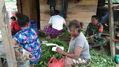 TNI Beri Pendampingan Kepada Petani di Yapen