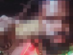Tim Gabungan TNI-Polri Lumpuhkan Satu Anggota Kelompok Bersenjata di Nabire