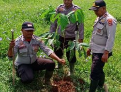 Kapolsek Muting dan Anggotanya Gelar Penghijauan di Mako Polsek