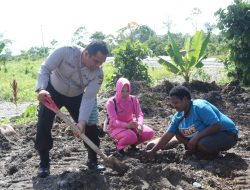 Penghijauan, Polsek Mimika Baru Tanam Pohon Buah