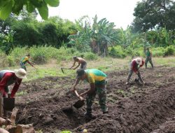 TNI Bantu Masyarakat Buka Lahan Perkebunan di Perbatasan
