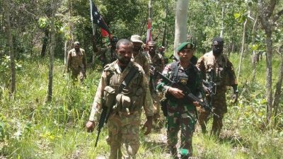 TNI AD dan PNGDF Gelar Patroli Patok Bersama di Perbatasan RI-PNG